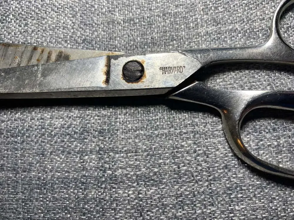 Antique Shears Scissors